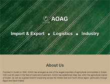 Tablet Screenshot of aoaggroup.com
